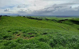 (Legacy 110) 149b Torehape Road West, Kaihere 