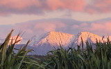 Lot 27, Norwest Estate, Hokitika, Westland