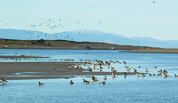 Walton Street Development